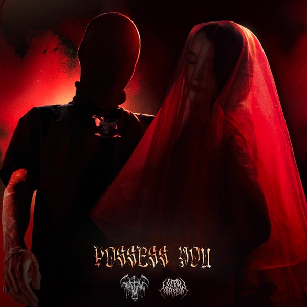 Possess You — обложка